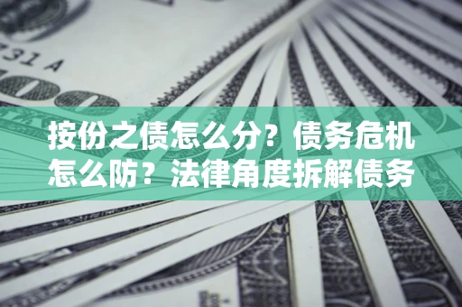 武汉按份之债怎么分？债务危机怎么防？法律角度拆解债务分配与风险自保指南