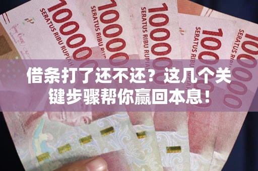 武汉借条打了还不还？这几个关键步骤帮你赢回本息！