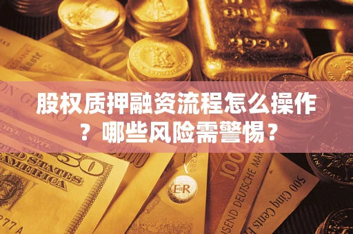 武汉股权质押融资流程怎么操作？哪些风险需警惕？