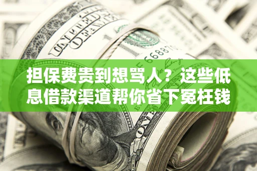 武汉担保费贵到想骂人？这些低息借款渠道帮你省下冤枉钱