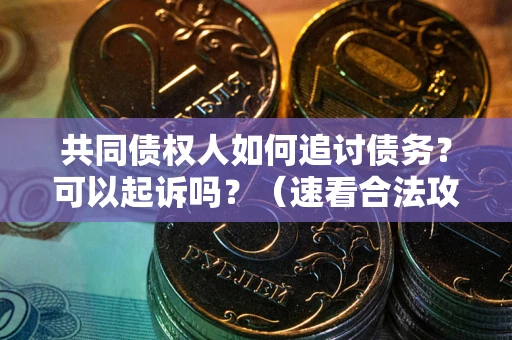武汉共同债权人如何追讨债务？可以起诉吗？（速看合法攻略）