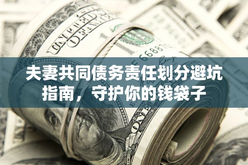 武汉夫妻共同债务责任划分避坑指南，守护你的钱袋子