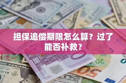 武汉担保追偿期限怎么算？过了能否补救？